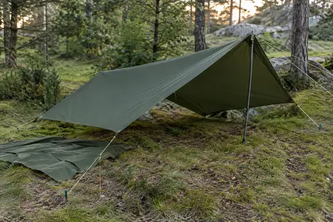 Bâche de camping verte montée en auvent bas dans une clairière, avec cordes et piquets visibles.
