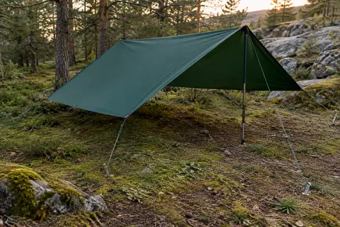 Bâche de camping vert forêt tendue en auvent dans une clairière, avec piquets et haubans visibles