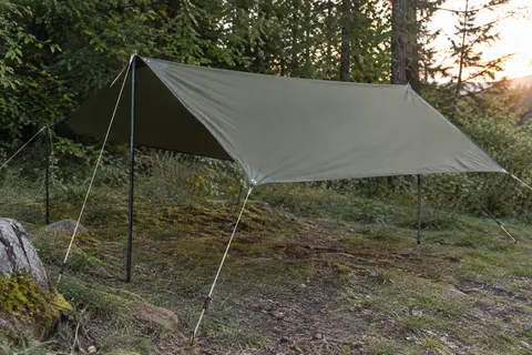 Bâche de camping vert olive tendue en abri ouvert dans une clairière, avec ses cordes de fixation visibles.