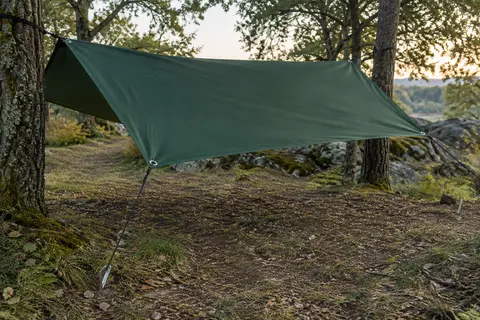 Bâche de camping vert foncé tendue entre des arbres, avec cordes et piquets visibles.
